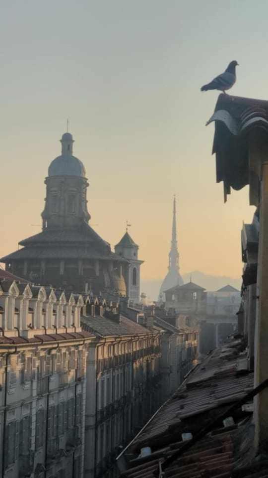 Joie De Vivre Torino Garibaldi Lejlighed Eksteriør billede